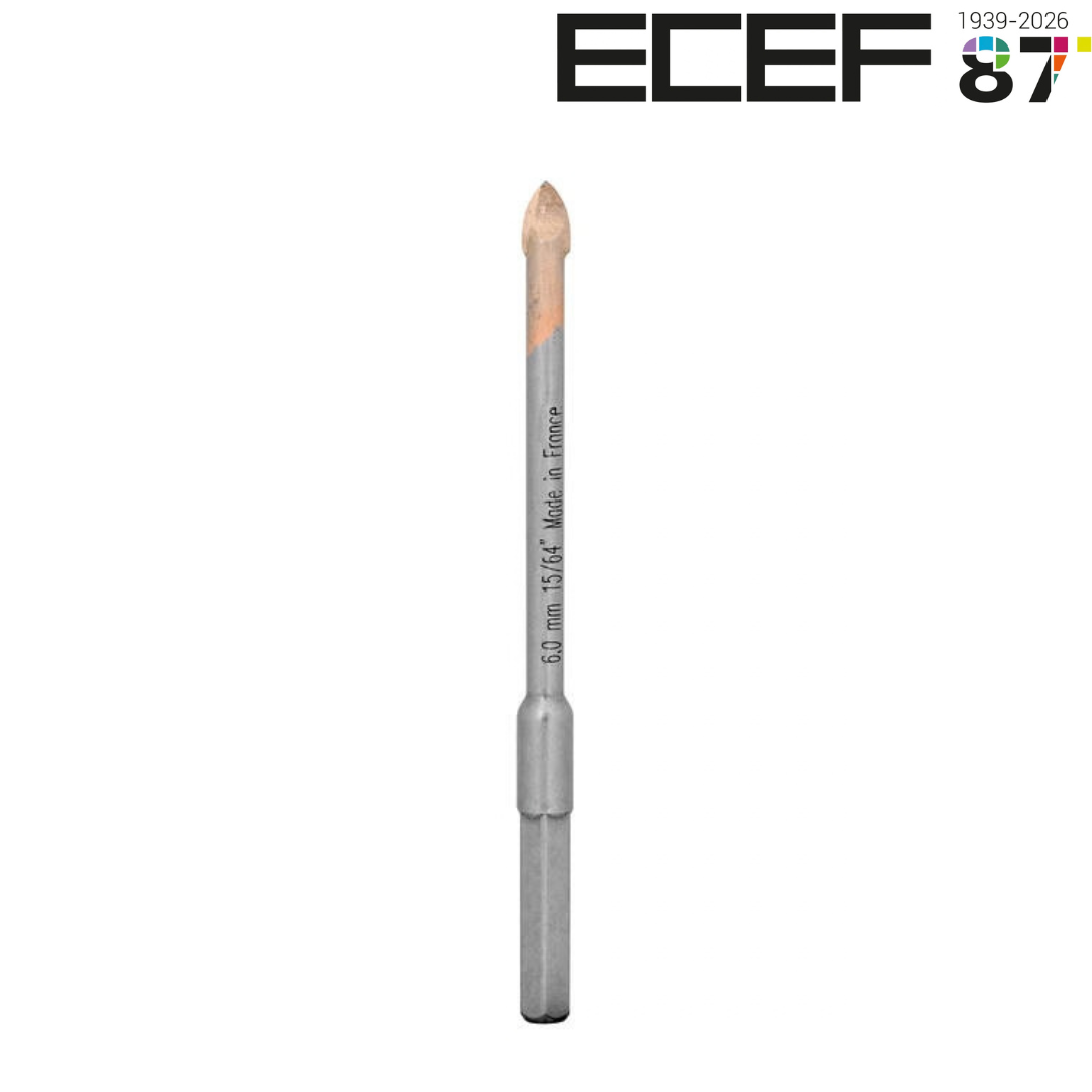 Ապակու գայլիկոն կարբիդային ծայրով 6X100-60 ECEF